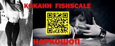 мет Кингисепп