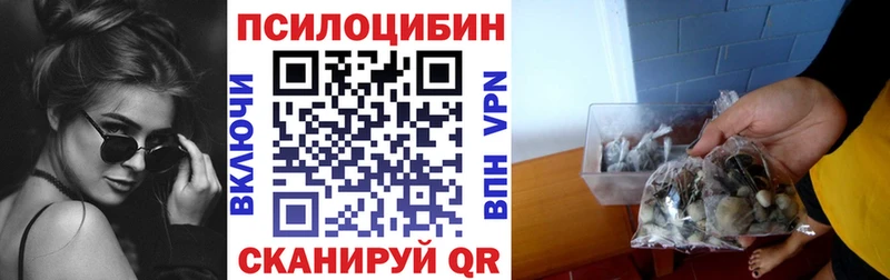 где купить наркоту  Топки  Псилоцибиновые грибы мухоморы 