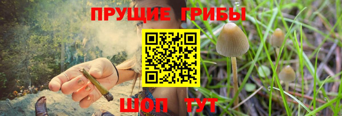Псилоцибиновые грибы ЛСД Топки